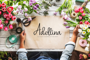 Adellina: The Elegant Typeface That Elevates Campaign Visuals