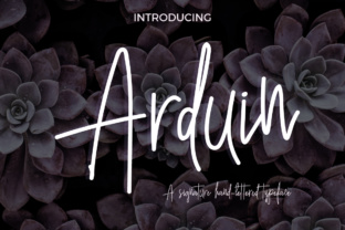 Arduin Typeface: The Handwritten Font That Elevates Your Brand