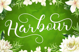 Harbour Typeface Review: A Modern Script for Refined Branding