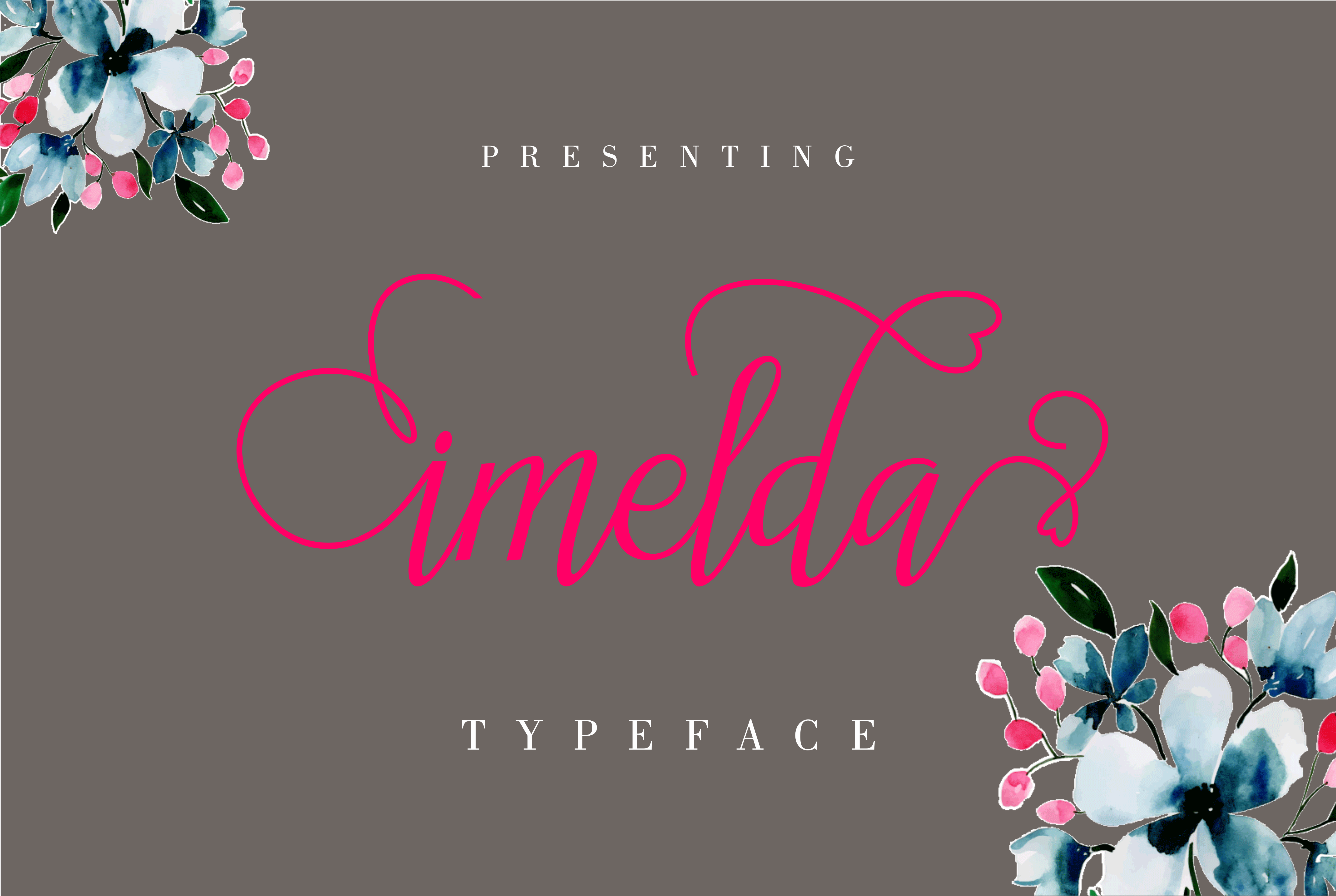 Imelda: The Modern Script Amp Typeface That Elevates Campaign Visuals