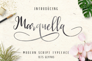 Marquella: The Modern Script Font for Scroll-Stopping Campaigns