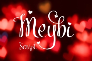 Meybi: The Romantic Script Font for Cohesive Small Business Branding
