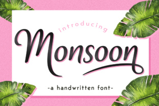 Monsoon Typeface Review: A Tropical Script for Web Design